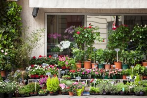 7 schöne Blumenläden in Hamburg Fewoland