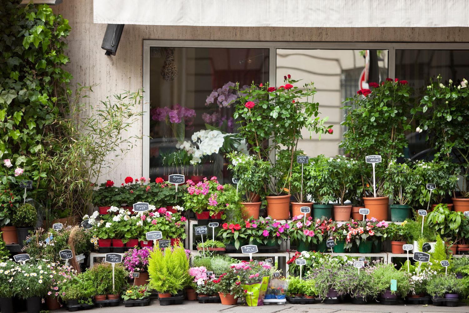 7 schöne Blumenläden in Hamburg Fewoland